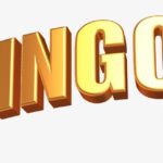 Where To Get The Best Bingo Website